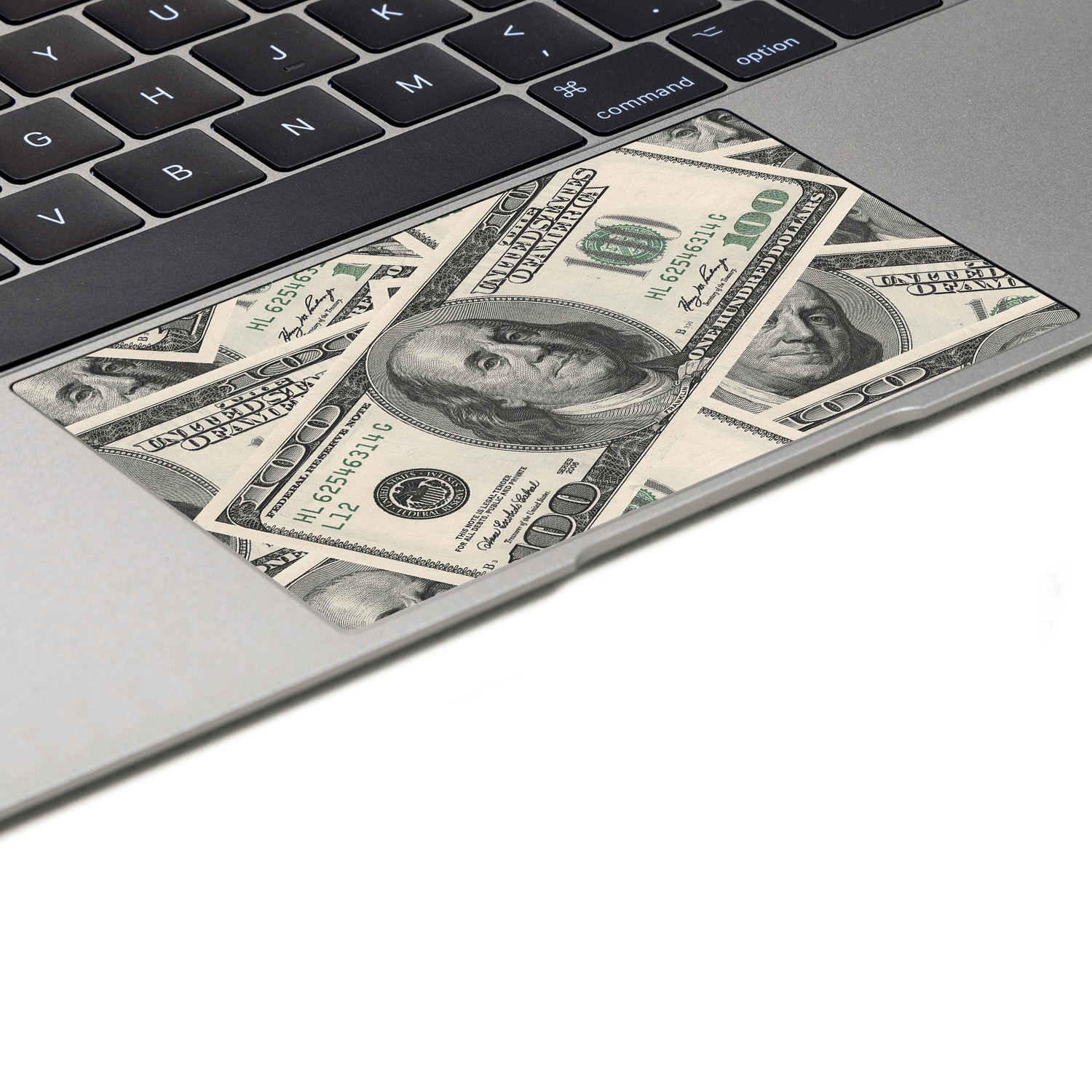 MacBook Pro 13" (2022 M2) Kaplama - Dolar Desenli