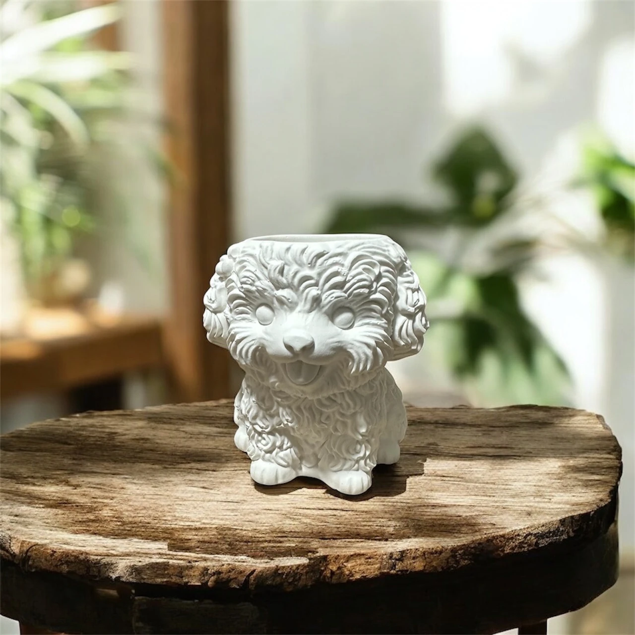 Ham Taş Süslü Köpek Sukulent Saksı