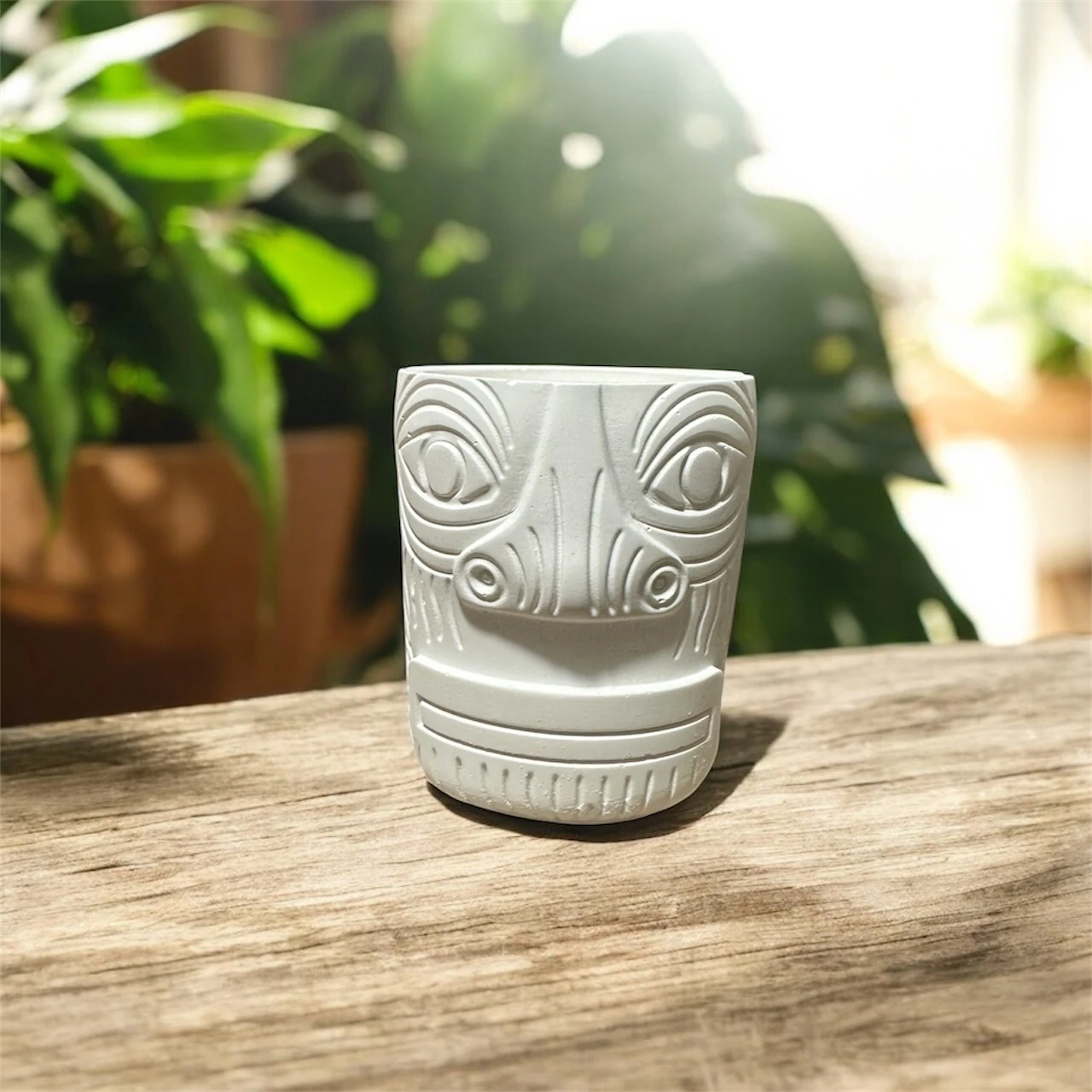 Ham Taş Antik Sukulent Saksı