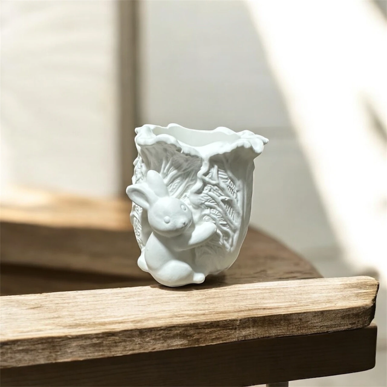 Ham Taş Tavşanlı Lahana Sukulent Saksı