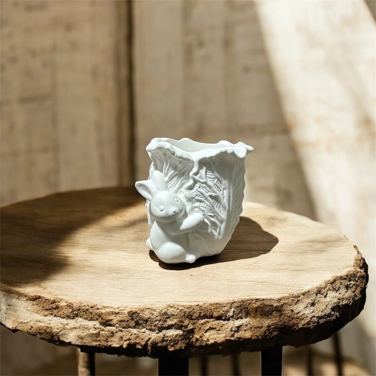 Ham Taş Tavşanlı Lahana Sukulent Saksı