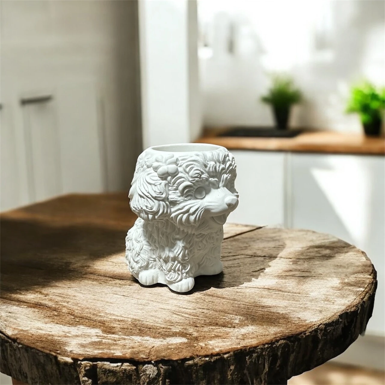 Ham Taş Süslü Köpek Sukulent Saksı