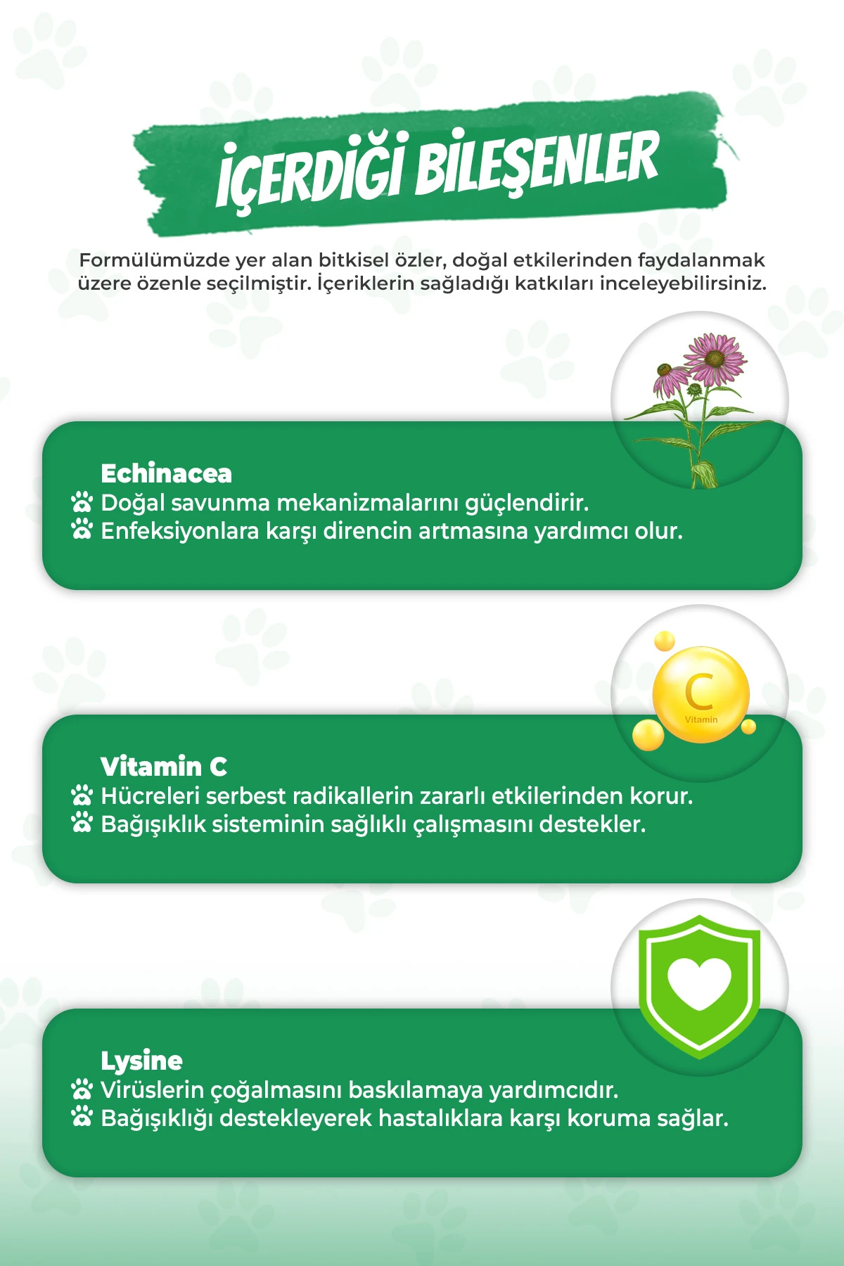 Kedi ve Köpekler İçin Bağışıklık Sistemini Güçlendiren Immune+C Tablet