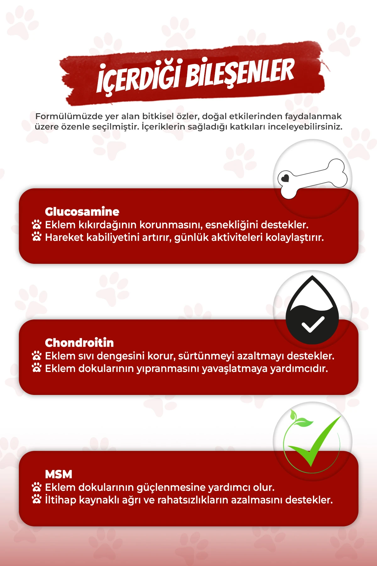 Kedi ve Köpekler İçin Eklem ve Kas Sistemi Destekleyici Glukozamin Tablet Move+G