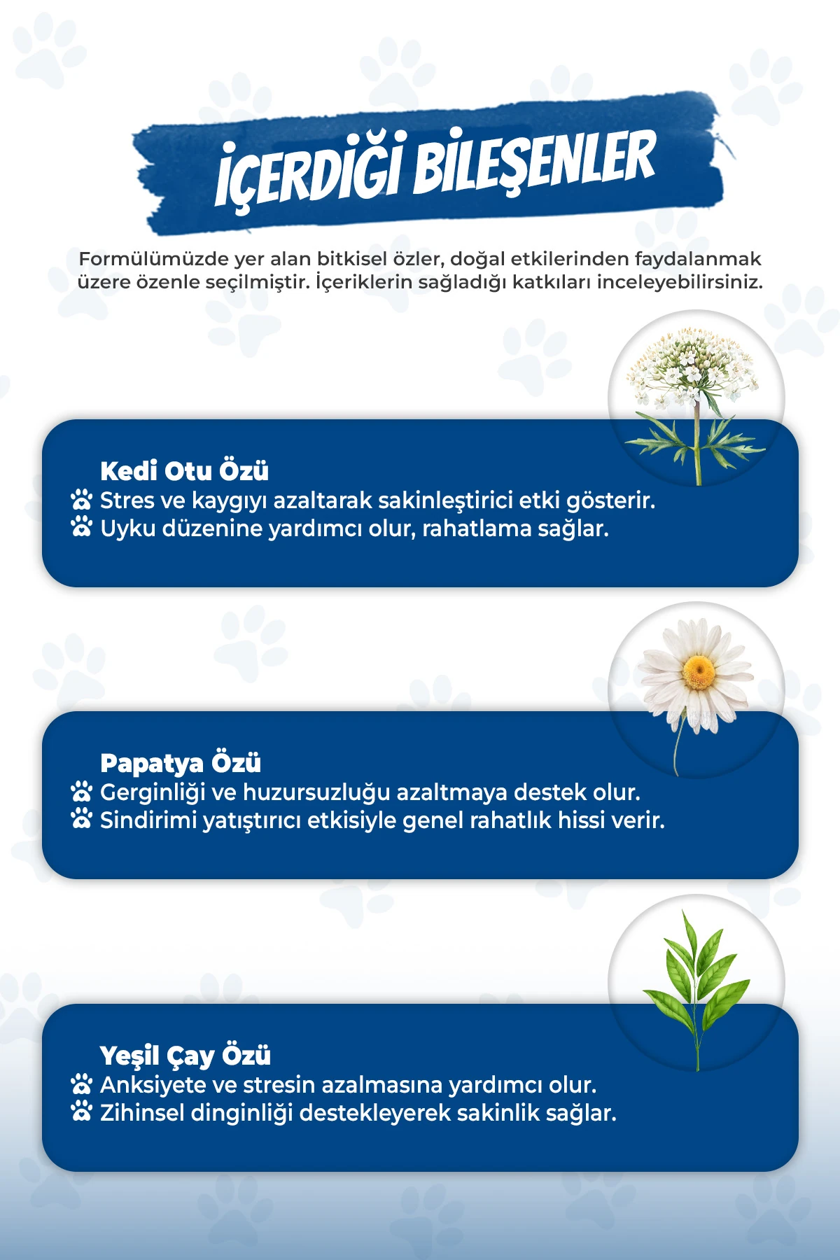 Köpekler İçin Rahatlama ve Sakinleşmeyi Destekleyici Damla Calming Liquid 