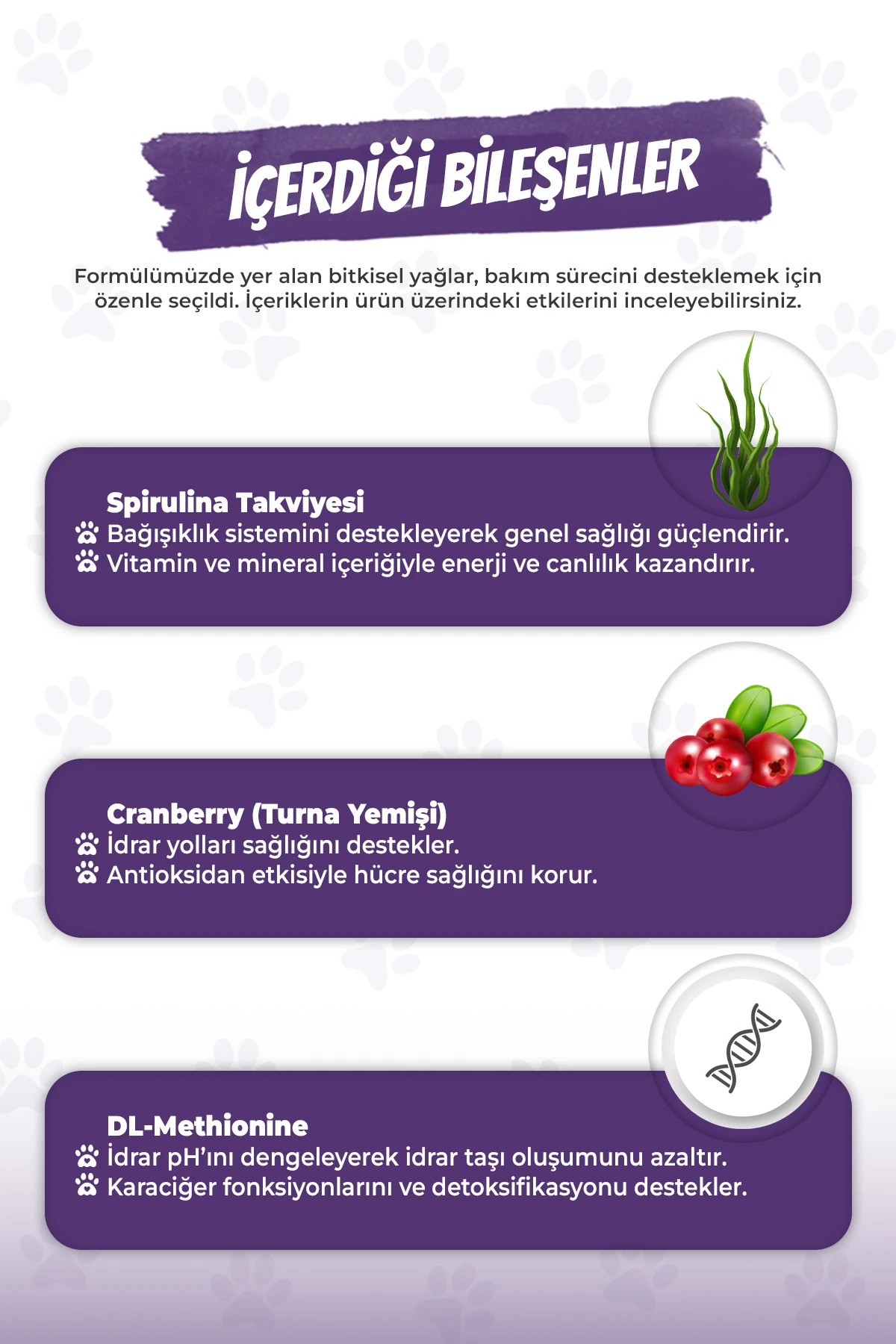 Kediler İçin Multivitaminli Malt Macunu Multi Paste 100g