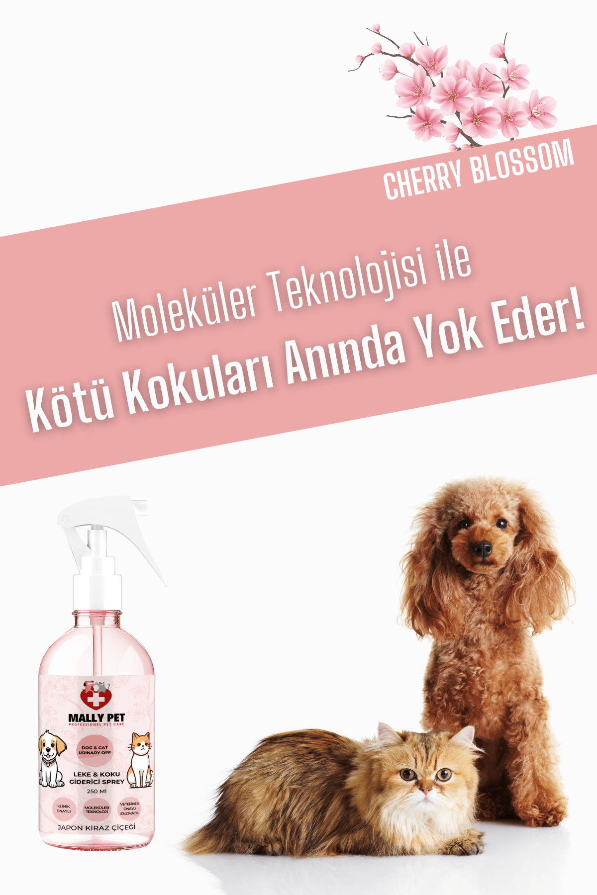 Kedi Tüy Sağlığı Paketi (3 Adet B Plus Damla + Koku ve Leke Giderici Sprey)