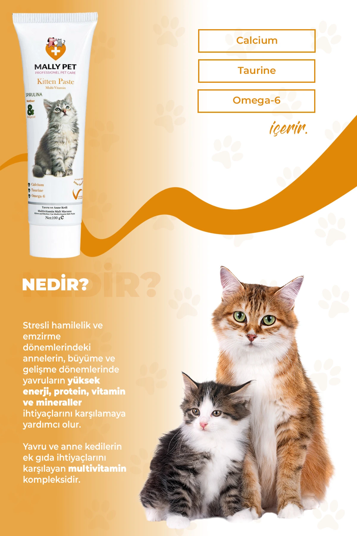 Yavru ve Anne Kedilerde Bağışıklık Sistemi Destekleyici Tüy Yumağı Önleyici Multivitamin Macunu 100g