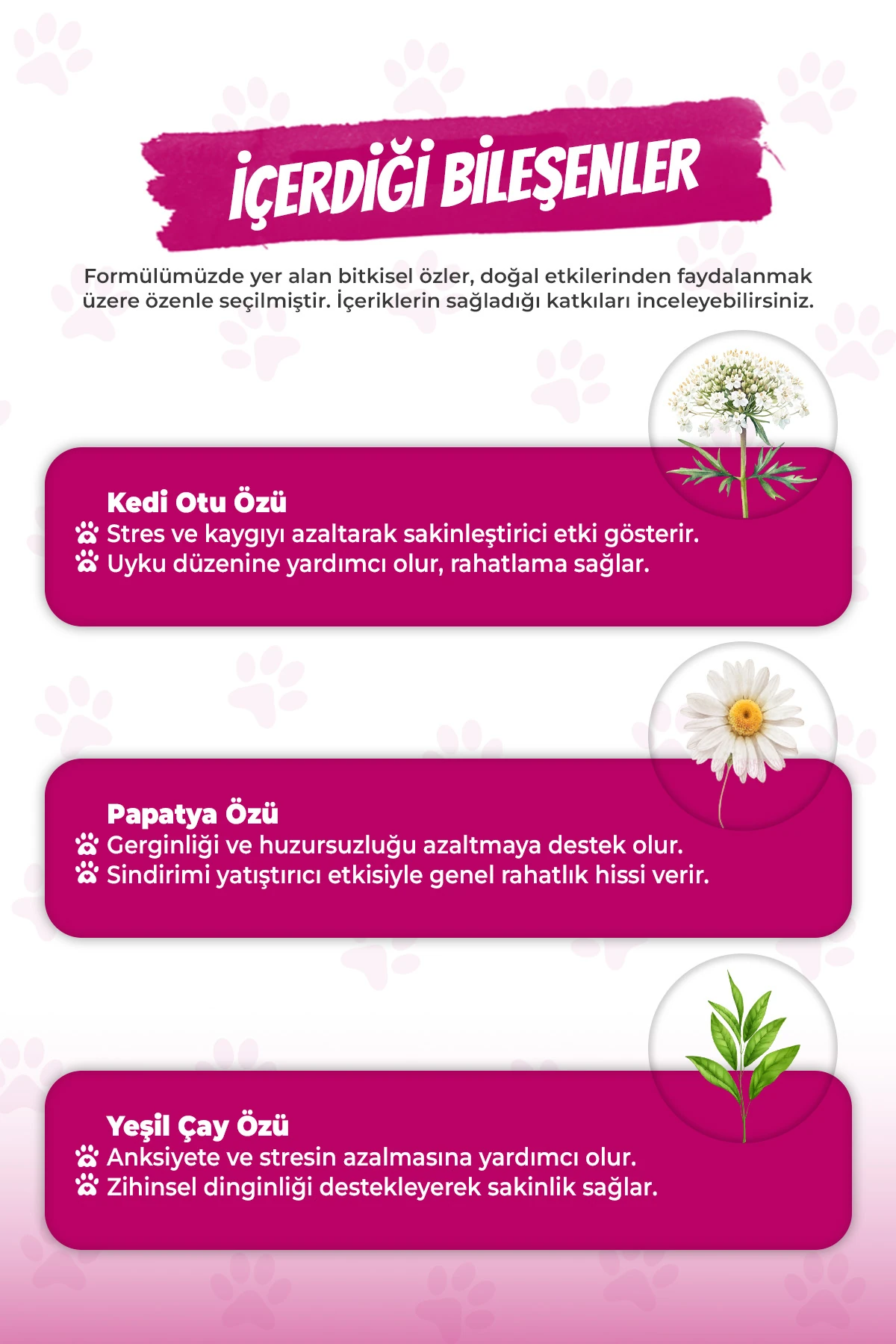 Kediler İçin Rahatlama ve Sakinleşmeyi Destekleyici Damla Calming Liquid 50 Ml