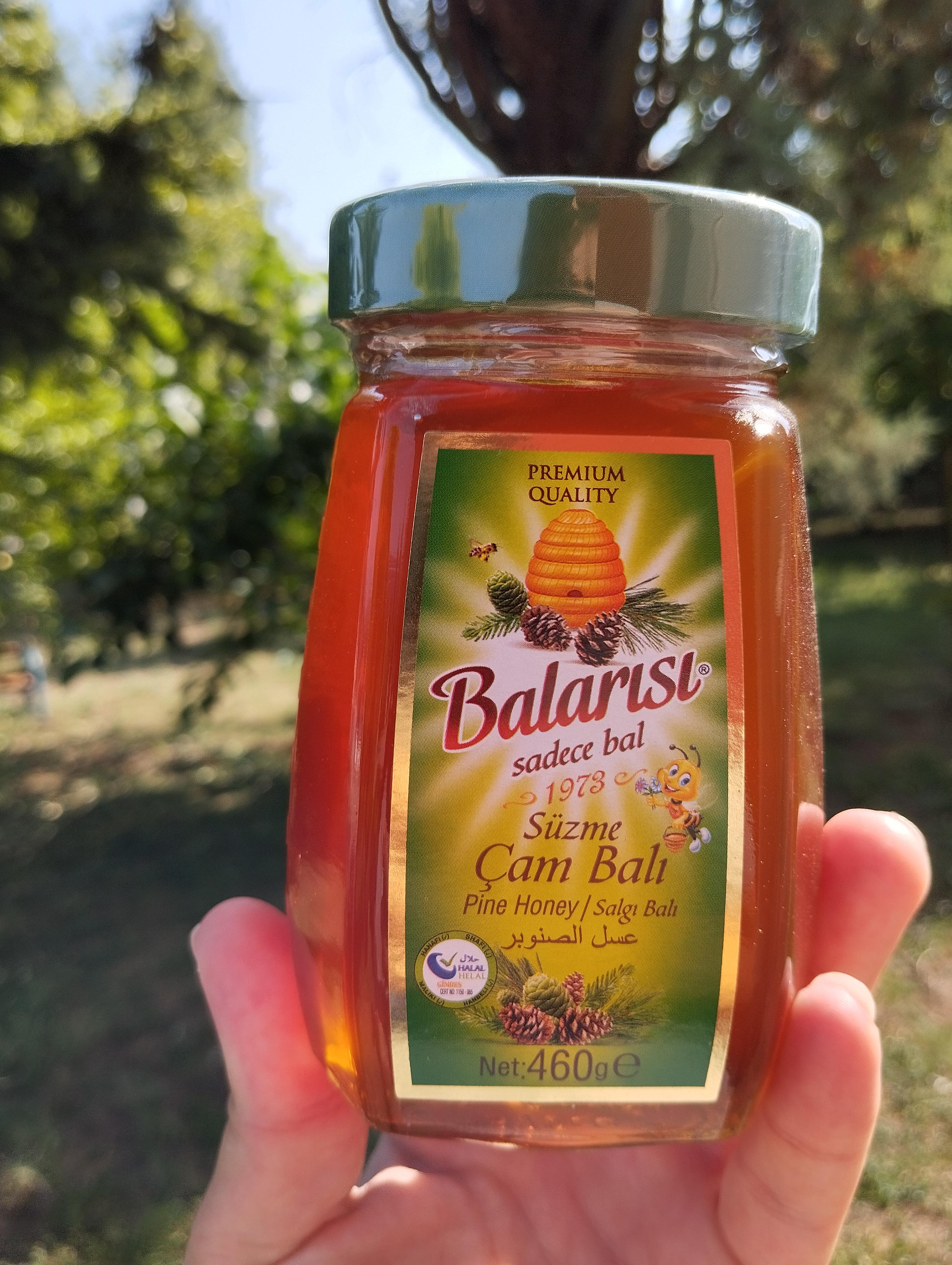 Balarısı Doğal Çam Balı 460 gr