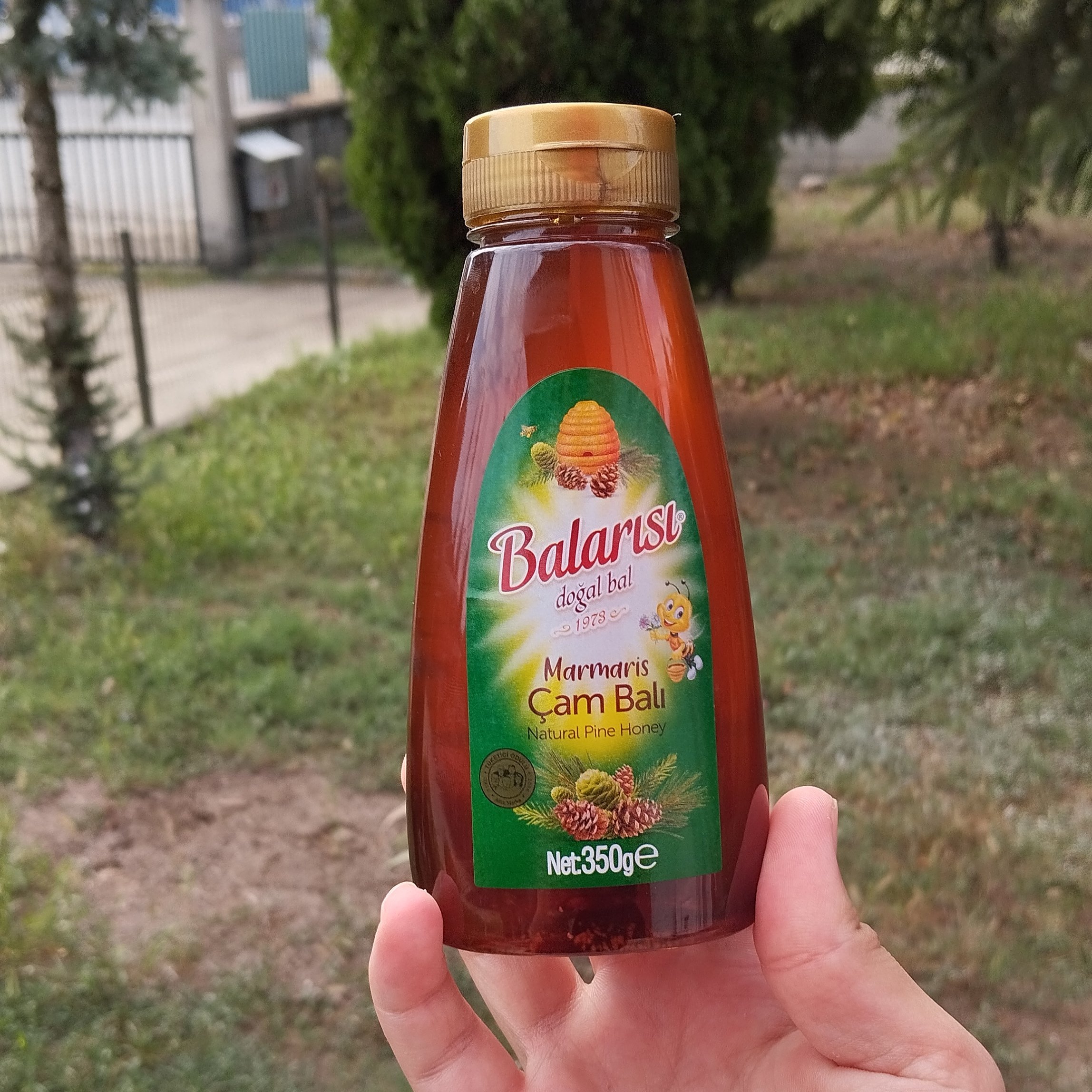 Balarısı Doğal Marmaris Çam Balı 350gr