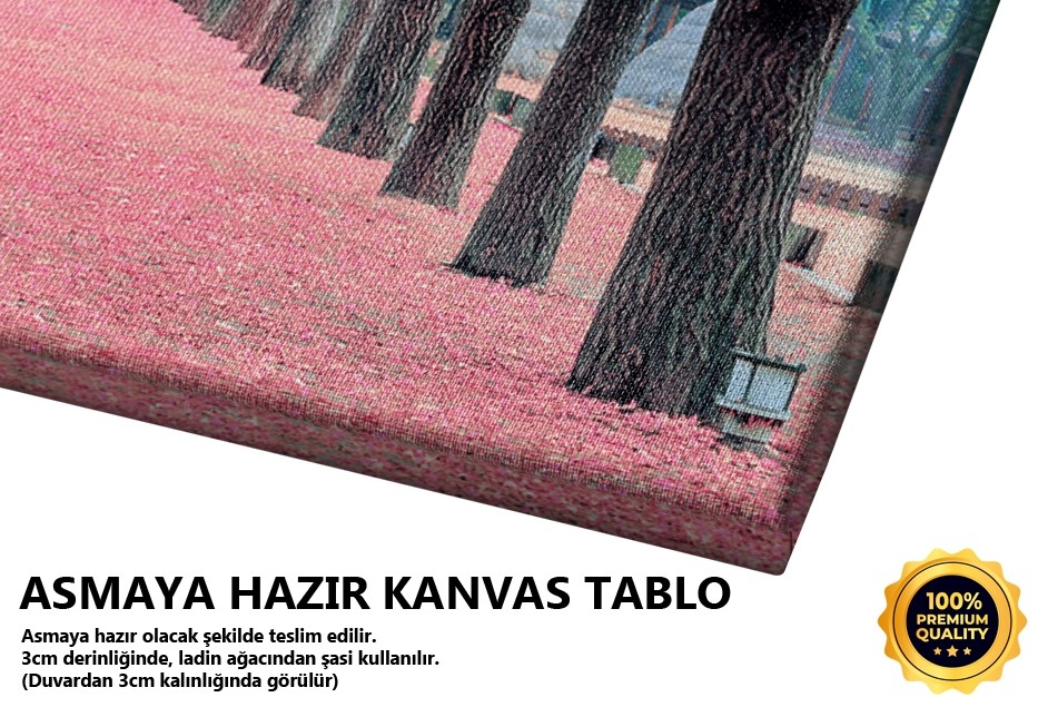 Pembe Sakura Ağaçlı Yol