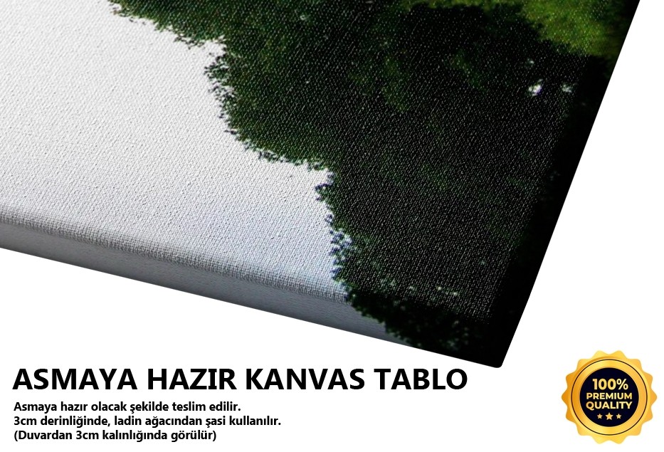 Doğa Tablo