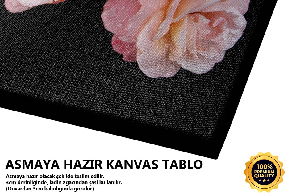 Pembe Güller Tablo
