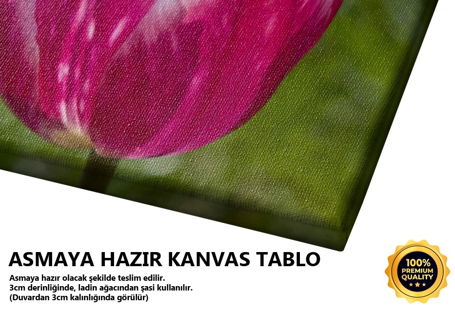 Lale Mor Beyaz Tablo