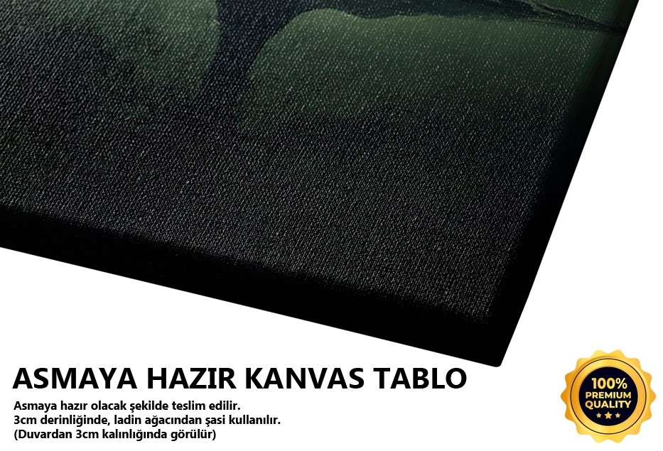 Yalnız Ağaç Manzarası