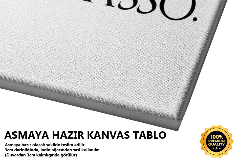 This Is A Picasso Tablo