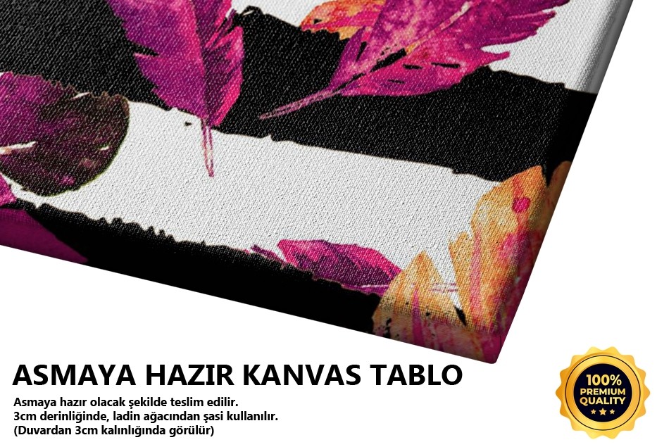 Renkli Tüy Tablo