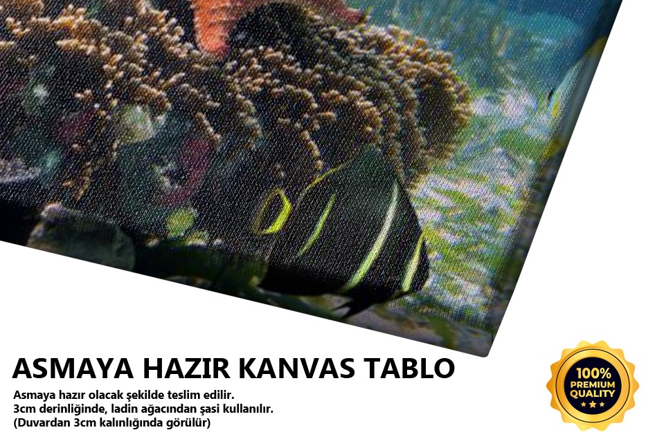 Su Altı Manzarası Tablo