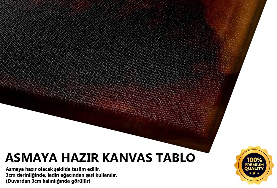 Yalnızlık Tablo