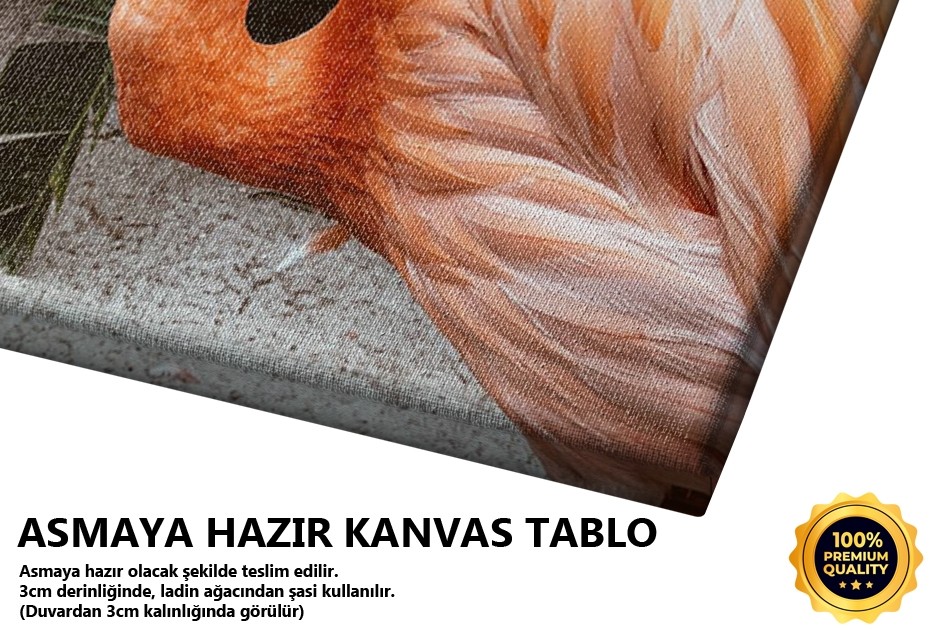 Flamingo Tablo
