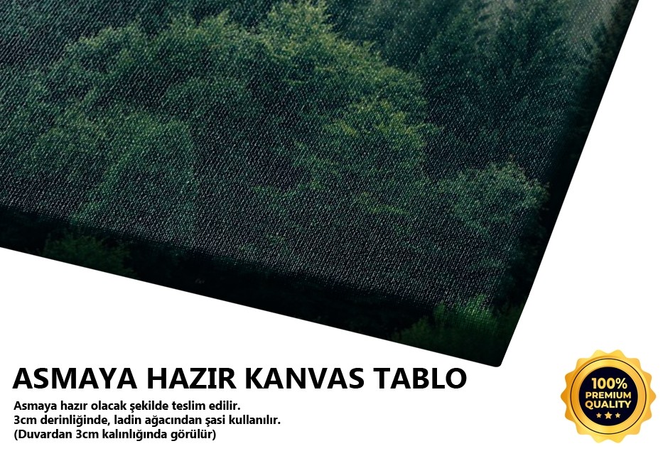 Doğa Tablo