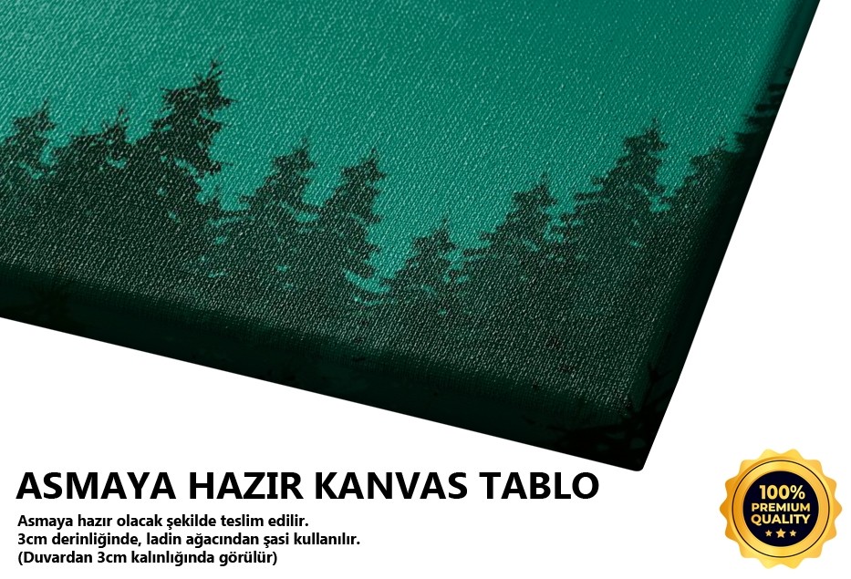 Gece Ve Orman Tablo
