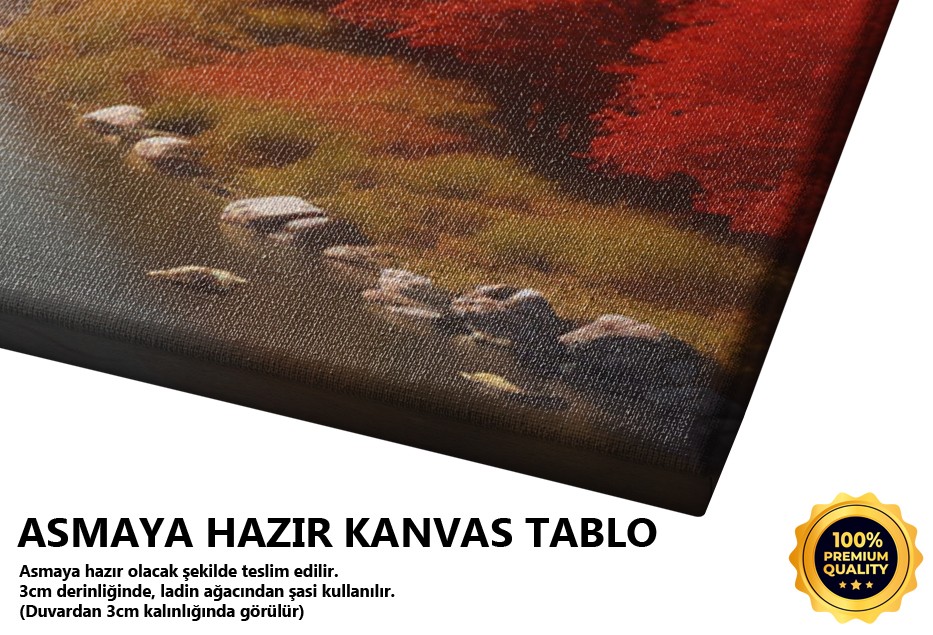 Nehir ve Dağ Silsilesi Manzarası