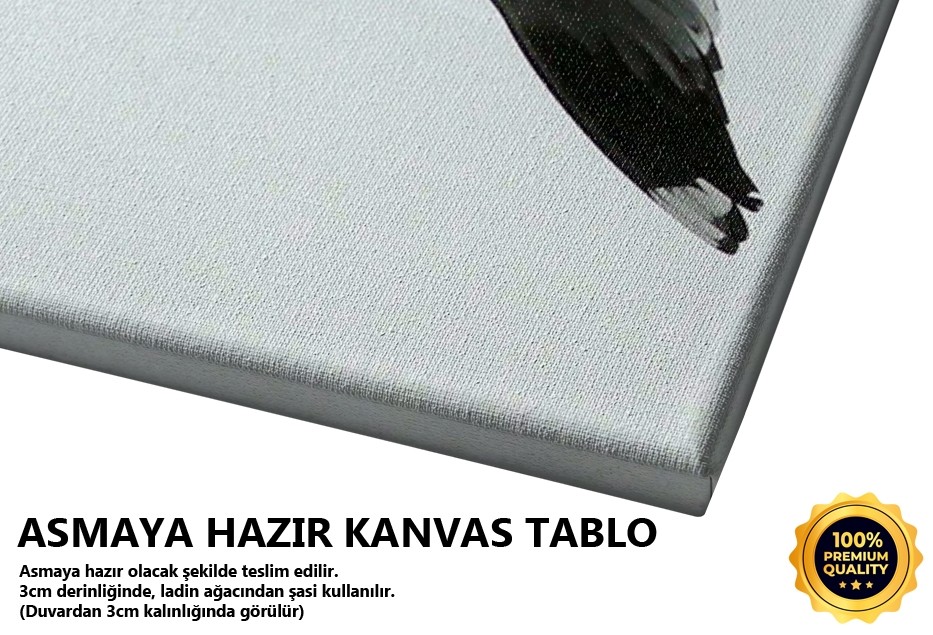 Gökyüzünü Ölçmek -2006 Tablo