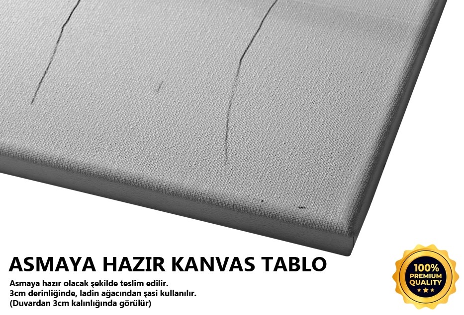 İçimden Dökülenler (Büyükçekmece-istanbul) Tablo