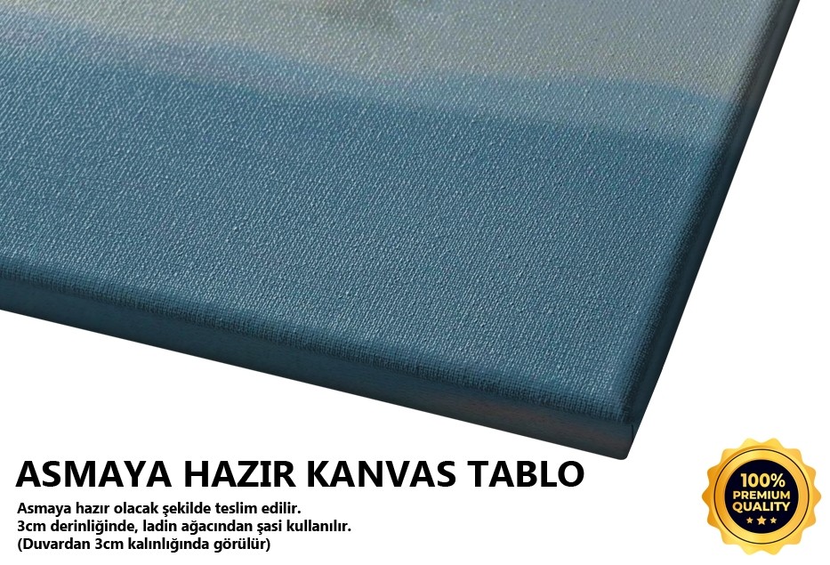 Martılar Neden Çarpışmaz -2008 Tablo