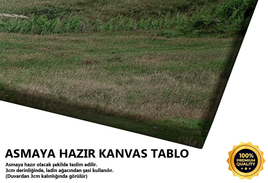 Ayder Yaylası Rize Tablo