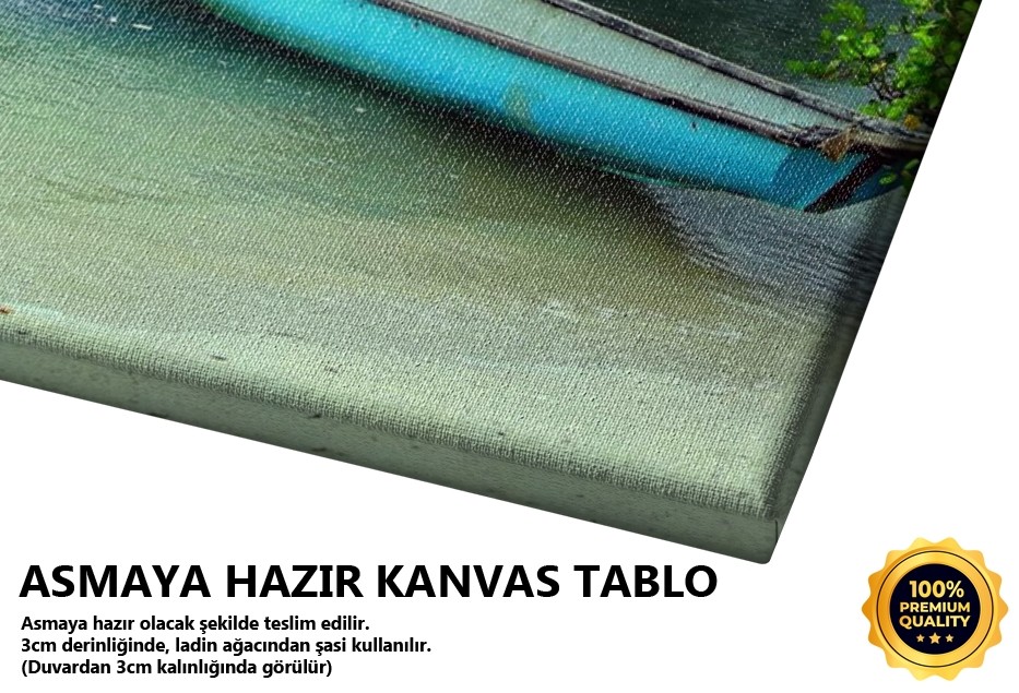 Sahildeki Kayık Tablo