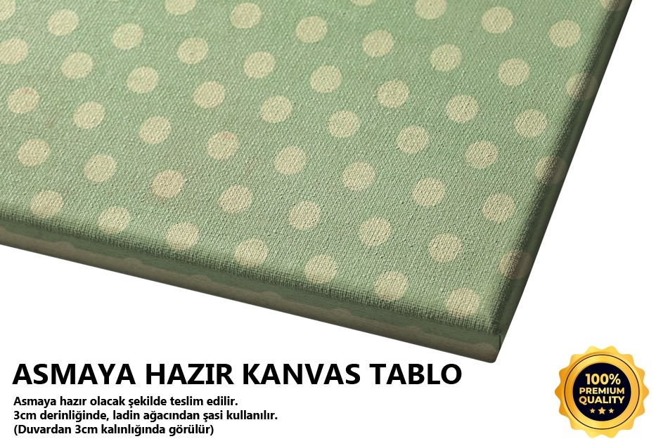 Kiraz Çiçeği Tablo