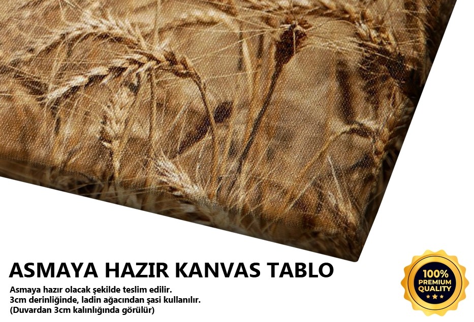 Bereket (Keşan-Edirne) Tablo