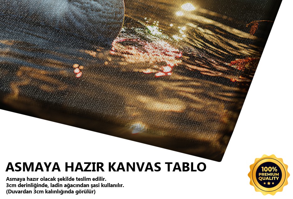 Sessiz Göldeki Kuğu