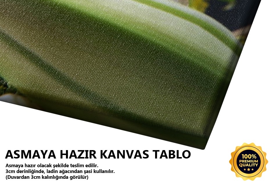 Lilyum Sepeti -2008 Tablo