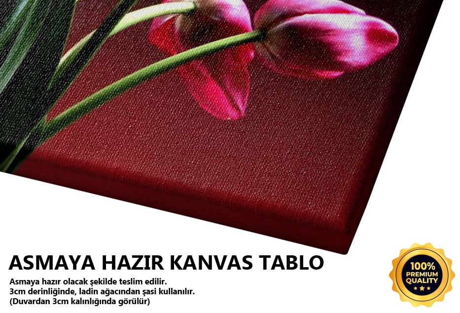 Kamera Fobisi -2008 Tablo