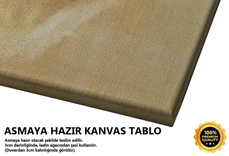 Portre Çalışması Tablo