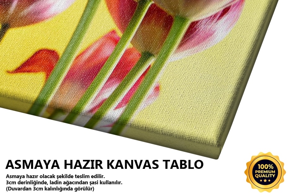 Kuzular -2008 Tablo