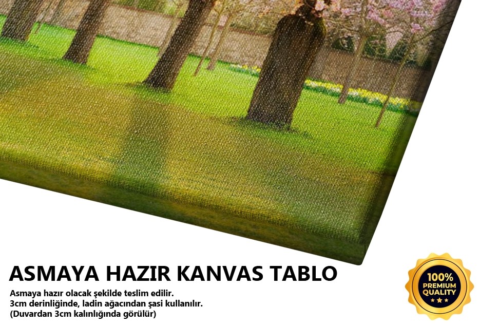 Büyüleyici İlkbahar Tablo
