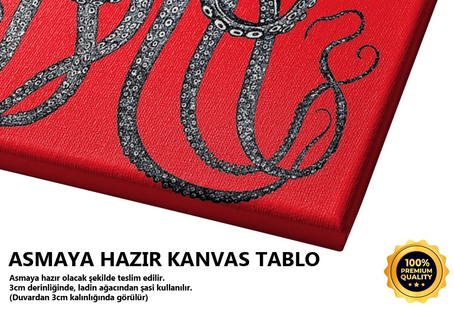 Ahtapot Vektörel Kırmızı Tablo
