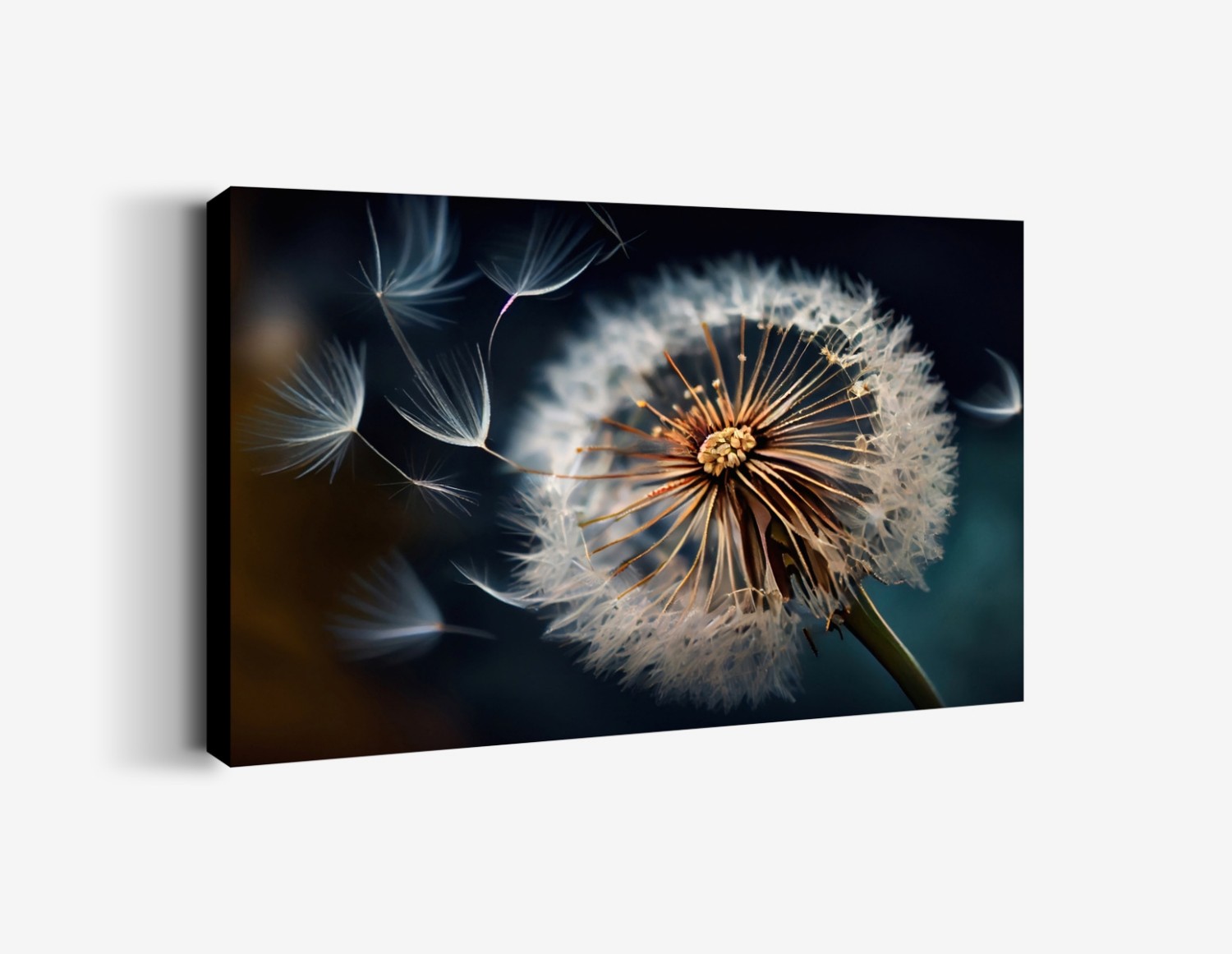 Dandelion Çiçeği Detayı