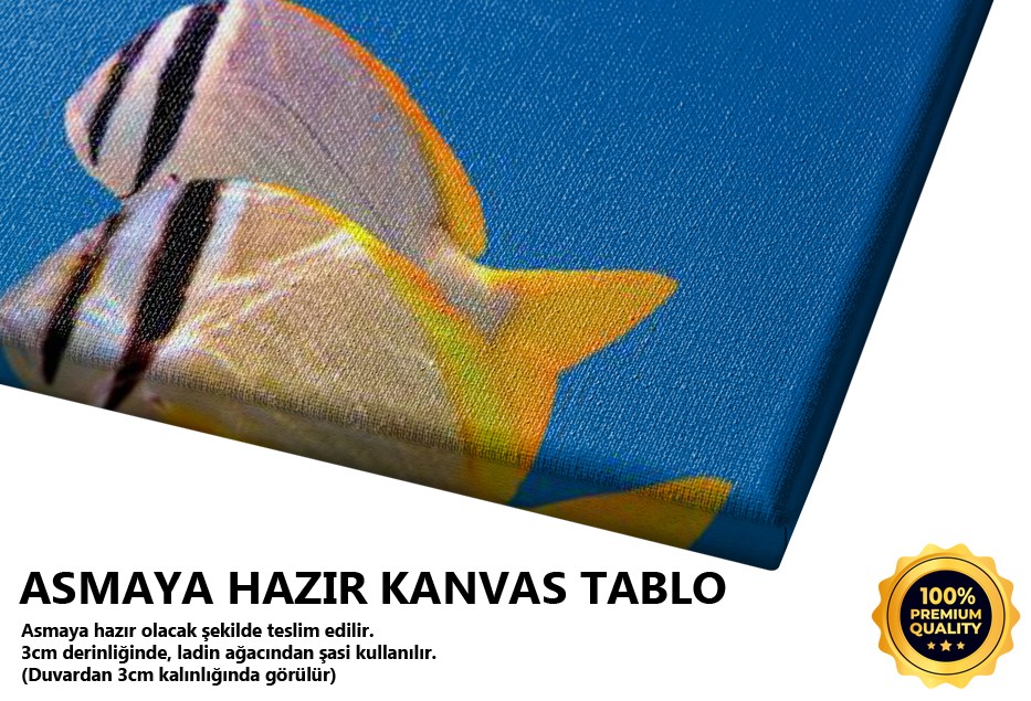 Su Altı Manzarası Tablo