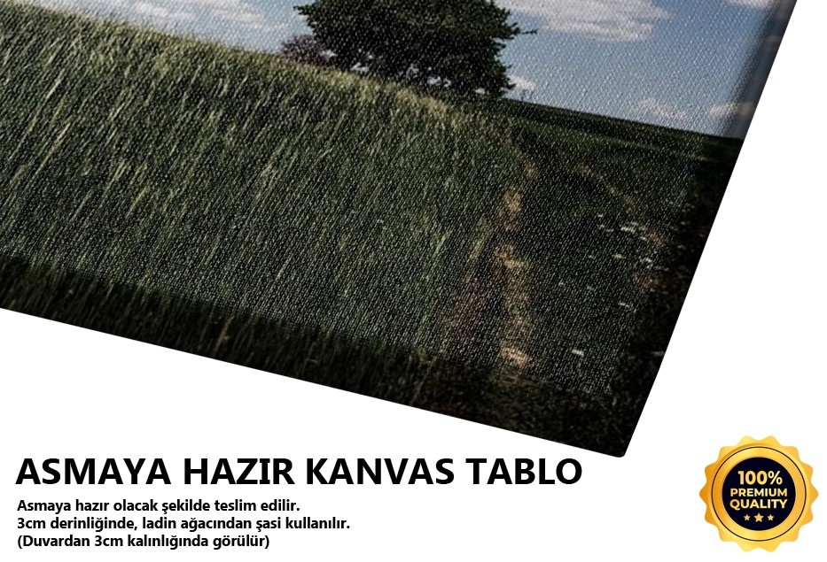 Kır Dan Adam (Beyşehir) Tablo