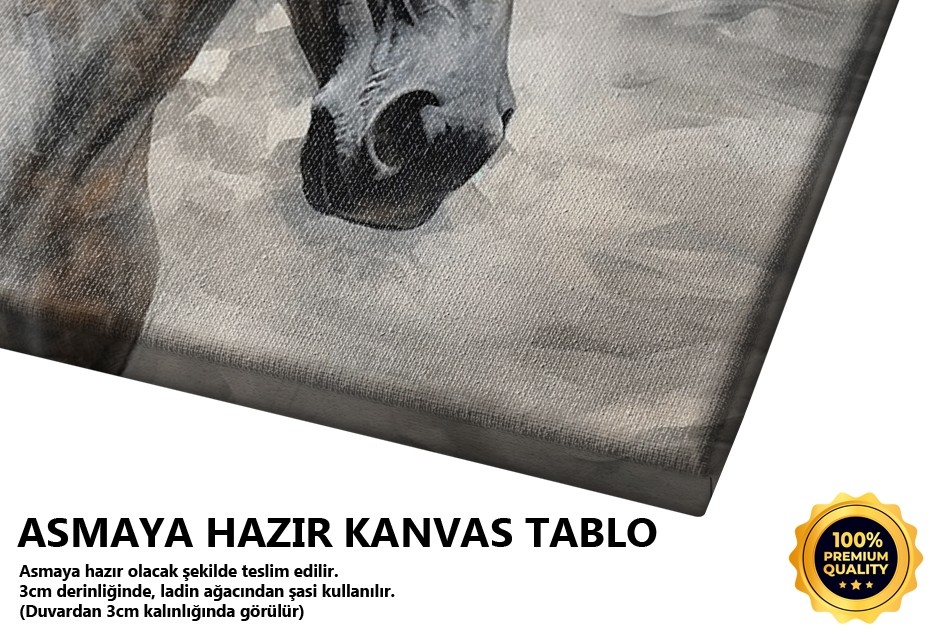 Beyaz At Portresi