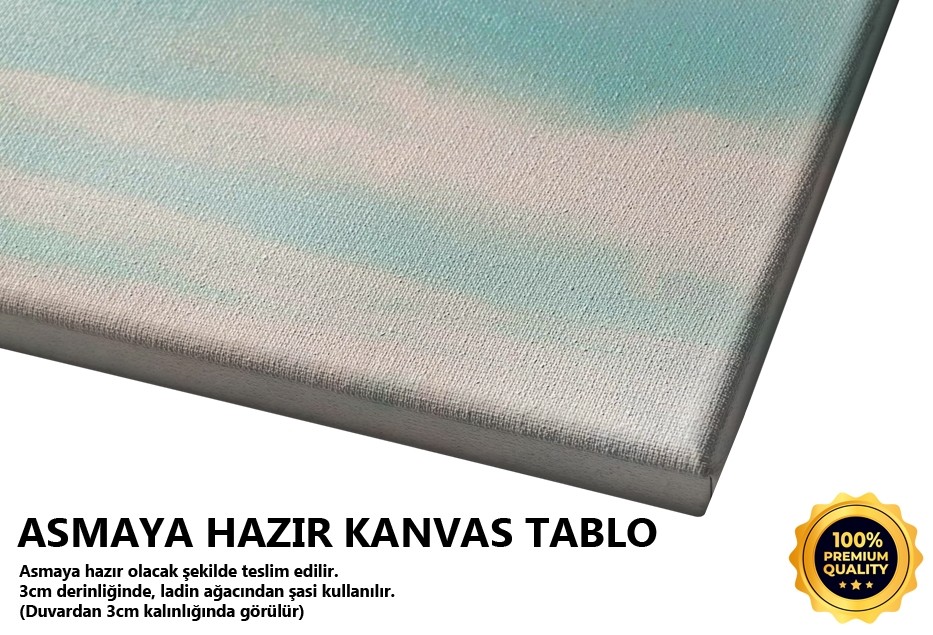 Uzaklara Bakan Adam Sağ Tablo