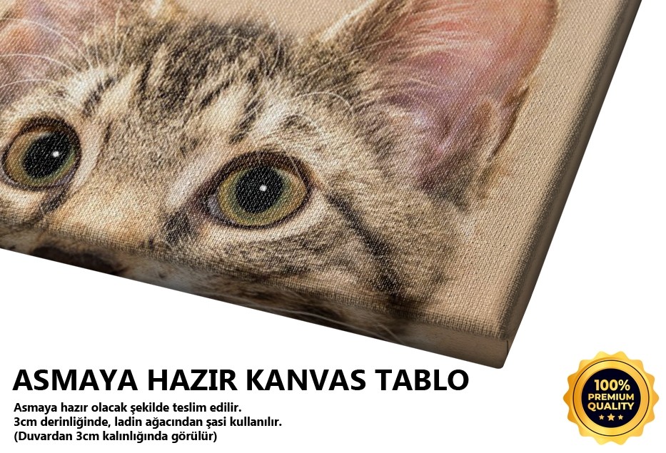 Kedi Gözü Pembe Tablo