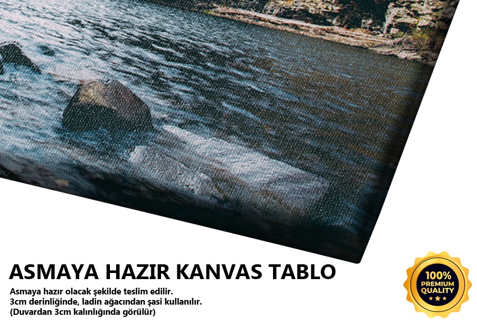 Çiçeklerle Kaplı Orman Kenarı