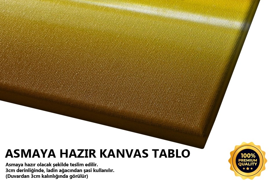 Böcek Tablo